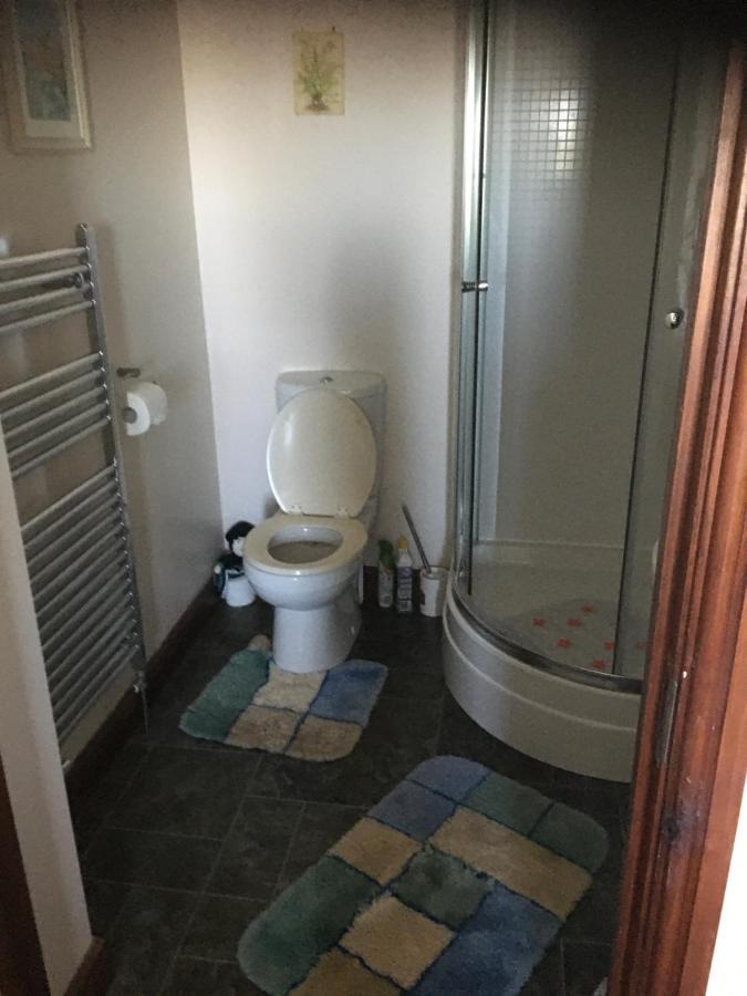 بوسكاسِل Tregatherall Lodge المظهر الخارجي الصورة
